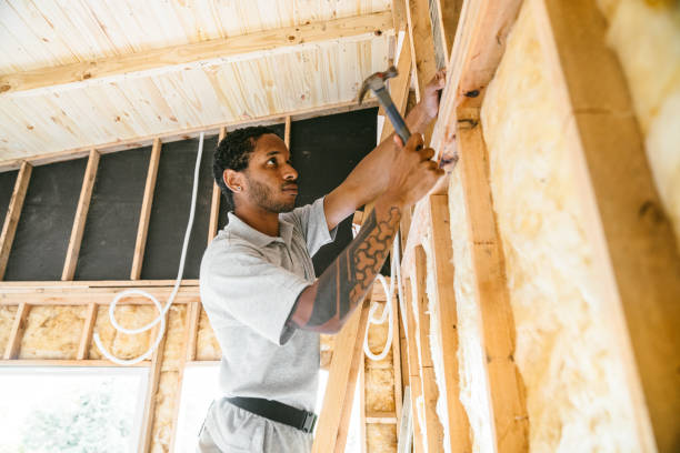 Best Crawl Space Insulation  in Stephens City, VA